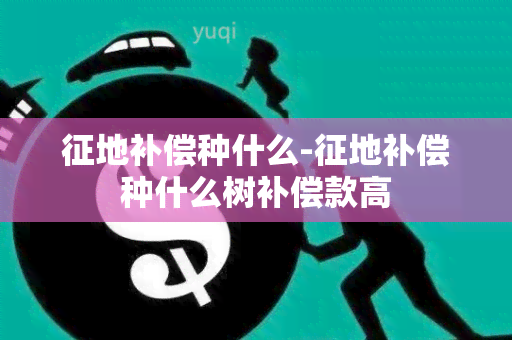 征地补偿种什么-征地补偿种什么树补偿款高