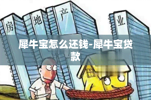 犀牛宝怎么还钱-犀牛宝贷款