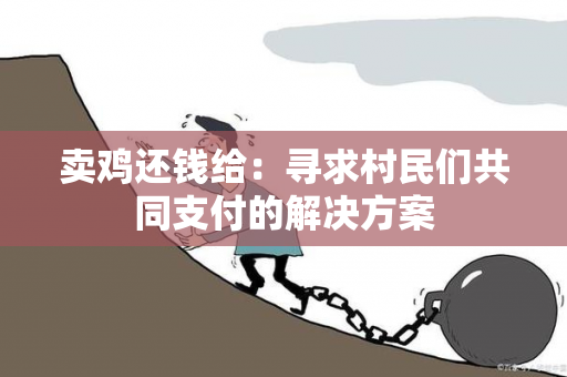 卖鸡还钱给：寻求村民们共同支付的解决方案