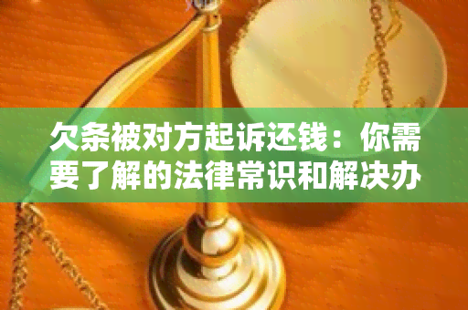 欠条被对方起诉还钱：你需要了解的法律常识和解决办法