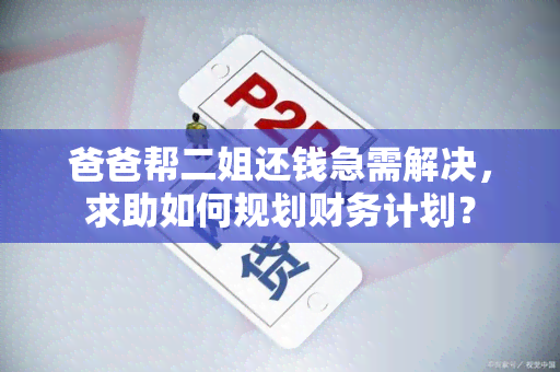 爸爸帮二姐还钱急需解决，求助如何规划财务计划？