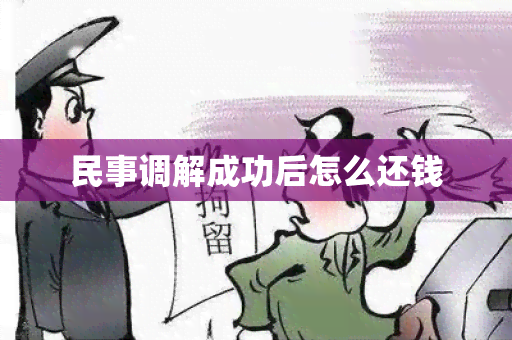 民事调解成功后怎么还钱