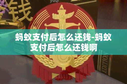 蚂蚁支付后怎么还钱-蚂蚁支付后怎么还钱啊