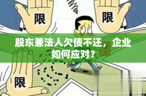 股东兼法人欠债不还，企业如何应对？