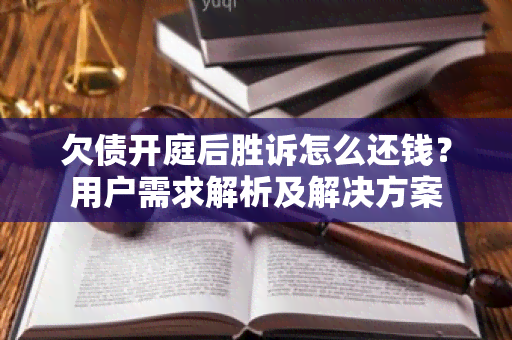 欠债开庭后胜诉怎么还钱？用户需求解析及解决方案