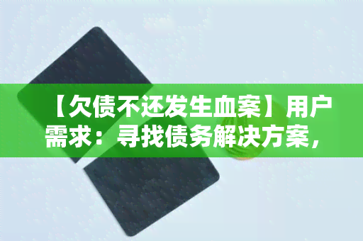 【欠债不还发生血案】用户需求：寻找债务解决方案，避免悲剧重演