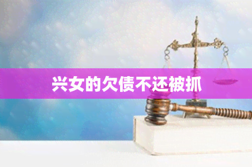 兴女的欠债不还被抓