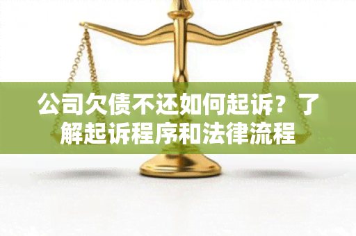 公司欠债不还如何起诉？了解起诉程序和法律流程