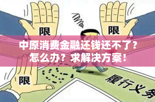 中原消费金融还钱还不了？怎么办？求解决方案！