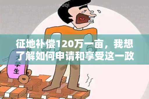 征地补偿120万一亩，我想了解如何申请和享受这一政策？