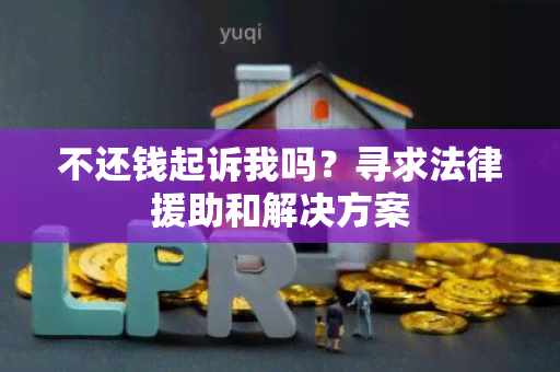 不还钱起诉我吗？寻求法律援助和解决方案