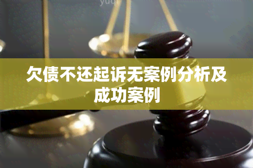 欠债不还起诉无案例分析及成功案例