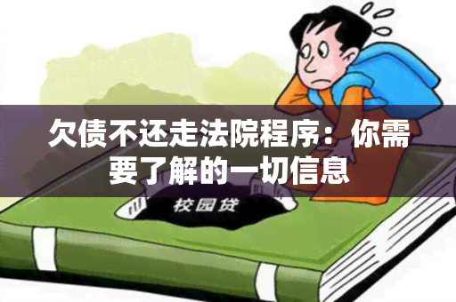 欠债不还走法院程序：你需要了解的一切信息