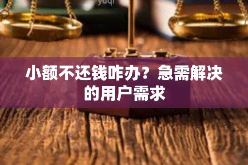 小额不还钱咋办？急需解决的用户需求