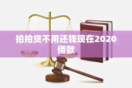 拍拍贷不用还钱现在2020借款