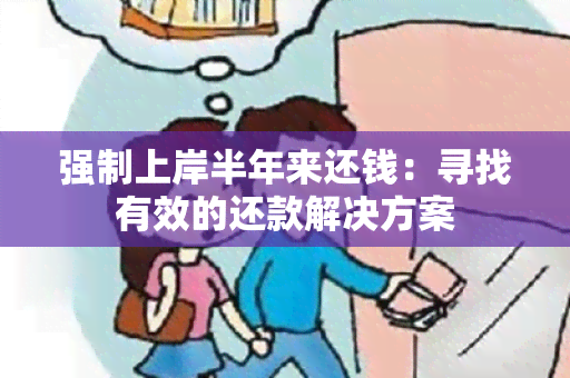 强制上岸半年来还钱：寻找有效的还款解决方案