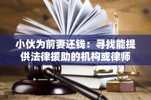 小伙为前妻还钱：寻找能提供法律援助的机构或律师