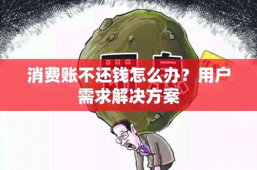 消费账不还钱怎么办？用户需求解决方案