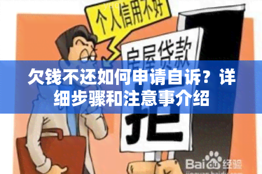 欠钱不还如何申请自诉？详细步骤和注意事介绍