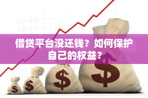 借贷平台没还钱？如何保护自己的权益？