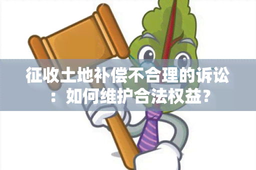 征收土地补偿不合理的诉讼：如何维护合法权益？