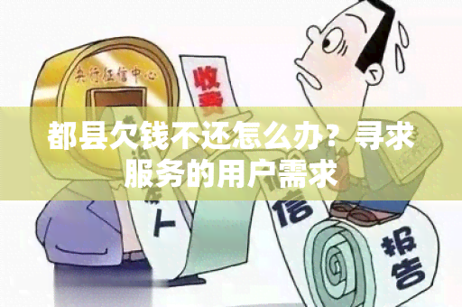 都县欠钱不还怎么办？寻求服务的用户需求