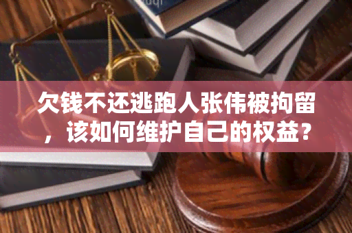 欠钱不还逃跑人张伟被拘留，该如何维护自己的权益？