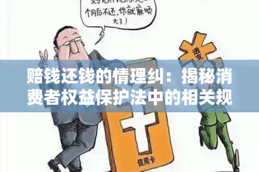 赔钱还钱的情理纠：揭秘消费者权益保护法中的相关规定