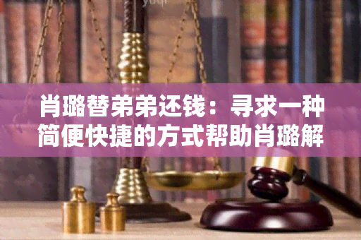 肖璐替弟弟还钱：寻求一种简便快捷的方式帮助肖璐解决弟弟的债务问题