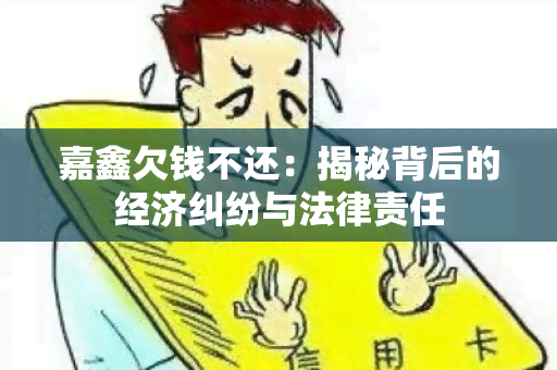 嘉鑫欠钱不还：揭秘背后的经济纠纷与法律责任