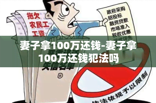 妻子拿100万还钱-妻子拿100万还钱犯法吗