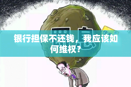 银行担保不还钱，我应该如何 *** ？