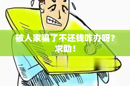 被人家了不还钱咋办呀？求助！