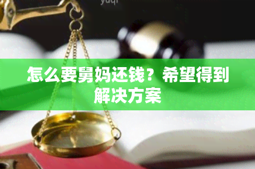 怎么要舅妈还钱？希望得到解决方案