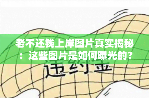 老不还钱上岸图片真实揭秘：这些图片是如何曝光的？