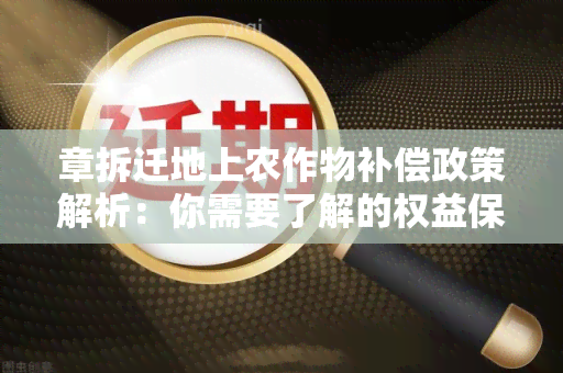 章拆迁地上农作物补偿政策解析：你需要了解的权益保障及补偿标准