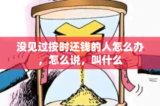 没见过按时还钱的人怎么办，怎么说，叫什么