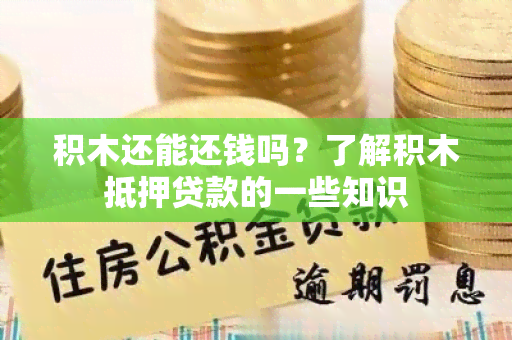 积木还能还钱吗？了解积木抵押贷款的一些知识