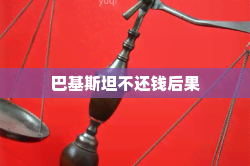 巴基斯坦不还钱后果