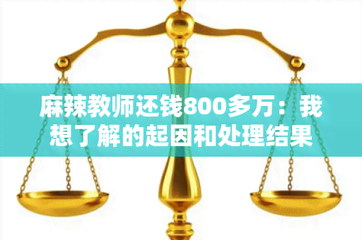 麻辣教师还钱800多万：我想了解的起因和处理结果