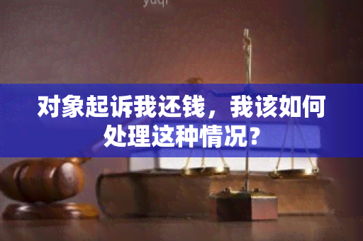 对象起诉我还钱，我该如何处理这种情况？