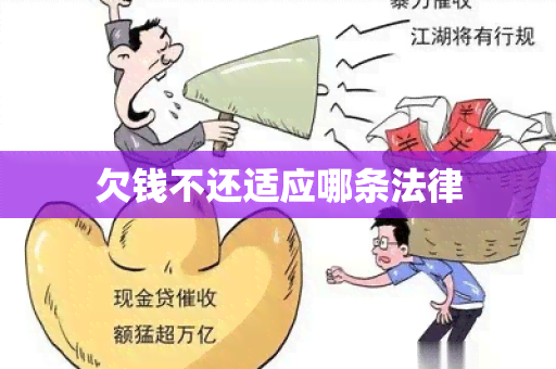 欠钱不还适应哪条法律