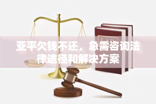 亚平欠钱不还，急需咨询法律途径和解决方案