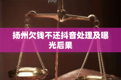 扬州欠钱不还抖音处理及曝光后果