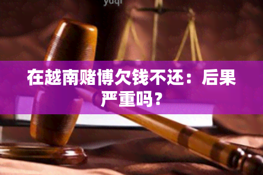 在越南博欠钱不还：后果严重吗？