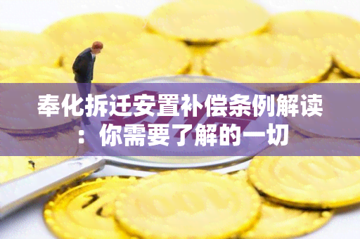 奉化拆迁安置补偿条例解读：你需要了解的一切