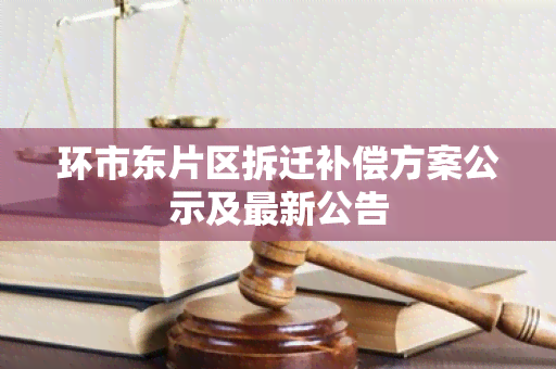 环市东片区拆迁补偿方案公示及最新公告