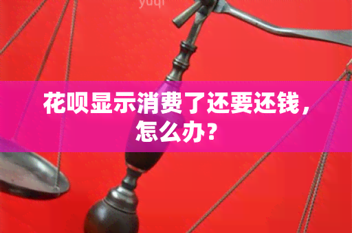 花呗显示消费了还要还钱，怎么办？