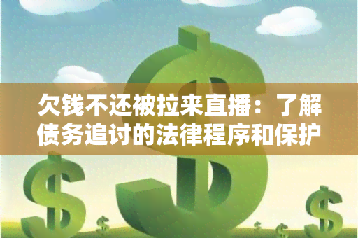 欠钱不还被拉来直播：了解债务追讨的法律程序和保护债权人的权益