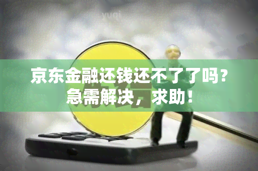 京东金融还钱还不了了吗？急需解决，求助！